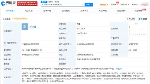 科大讯飞布局新赛道 成立超脑科技公司，深化信息系统集成服务